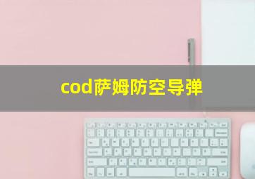 cod萨姆防空导弹