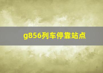 g856列车停靠站点