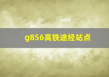 g856高铁途经站点