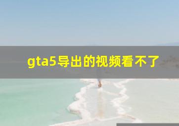 gta5导出的视频看不了