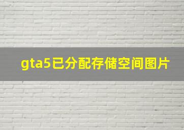 gta5已分配存储空间图片