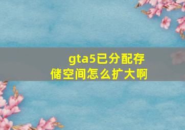 gta5已分配存储空间怎么扩大啊