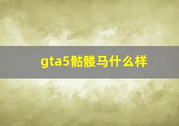 gta5骷髅马什么样