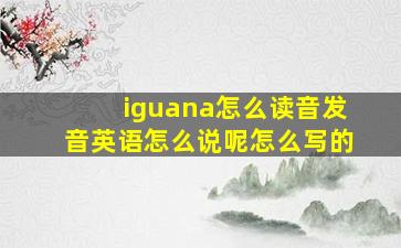 iguana怎么读音发音英语怎么说呢怎么写的