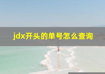 jdx开头的单号怎么查询