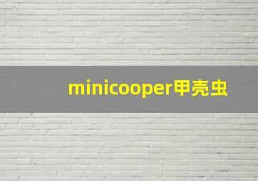 minicooper甲壳虫