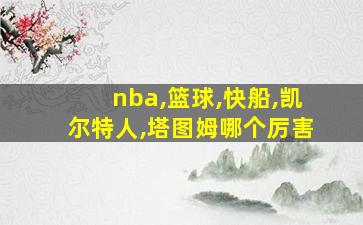 nba,篮球,快船,凯尔特人,塔图姆哪个厉害