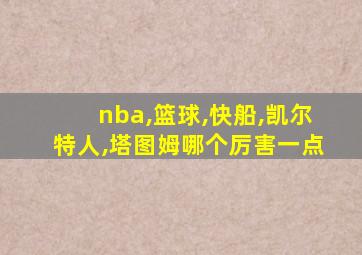 nba,篮球,快船,凯尔特人,塔图姆哪个厉害一点