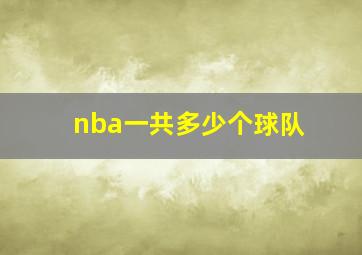 nba一共多少个球队