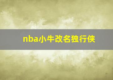 nba小牛改名独行侠