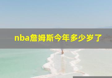 nba詹姆斯今年多少岁了