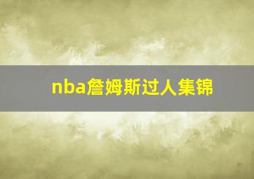 nba詹姆斯过人集锦