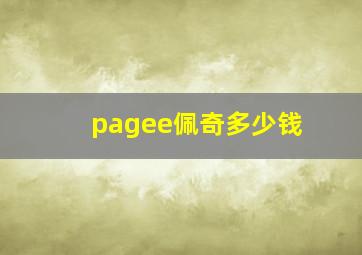 pagee佩奇多少钱