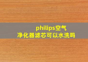 philips空气净化器滤芯可以水洗吗