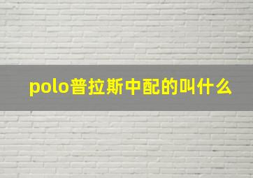 polo普拉斯中配的叫什么