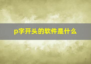 p字开头的软件是什么