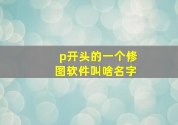 p开头的一个修图软件叫啥名字