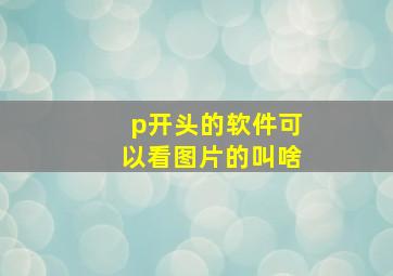 p开头的软件可以看图片的叫啥