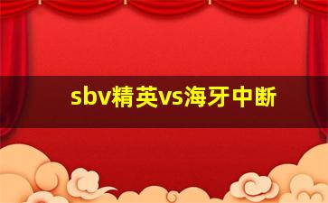 sbv精英vs海牙中断