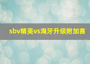 sbv精英vs海牙升级附加赛