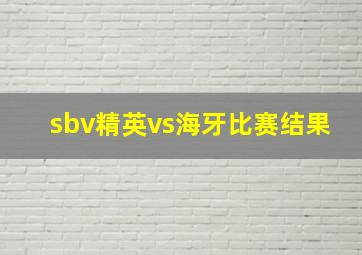 sbv精英vs海牙比赛结果