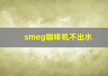 smeg咖啡机不出水