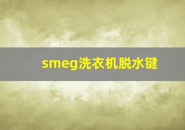 smeg洗衣机脱水键