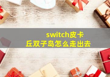 switch皮卡丘双子岛怎么走出去