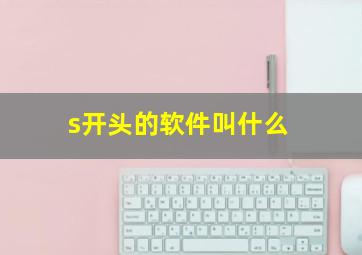 s开头的软件叫什么