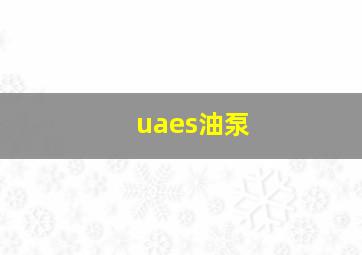 uaes油泵