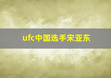 ufc中国选手宋亚东