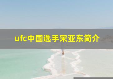 ufc中国选手宋亚东简介