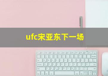 ufc宋亚东下一场