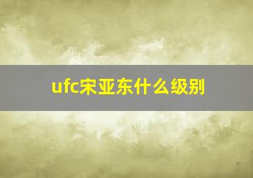 ufc宋亚东什么级别