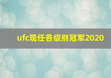 ufc现任各级别冠军2020