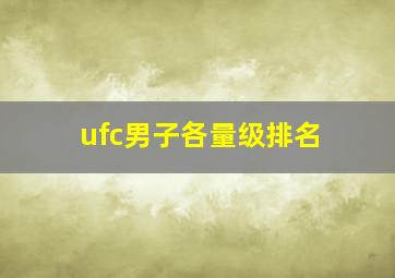 ufc男子各量级排名