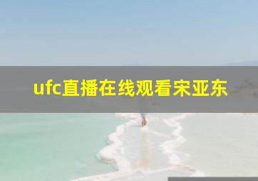 ufc直播在线观看宋亚东