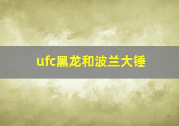 ufc黑龙和波兰大锤