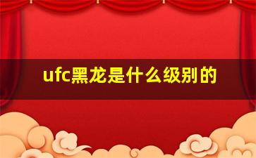 ufc黑龙是什么级别的