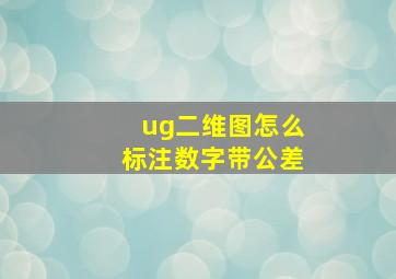 ug二维图怎么标注数字带公差