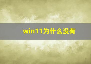 win11为什么没有