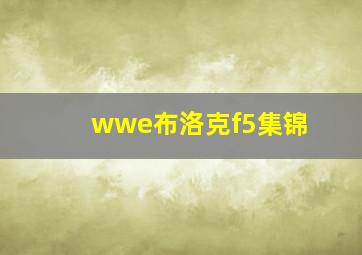 wwe布洛克f5集锦