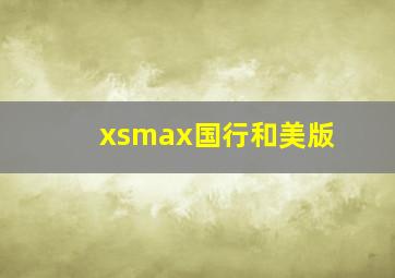 xsmax国行和美版