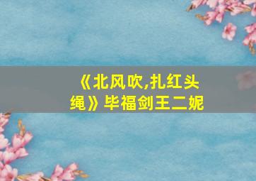 《北风吹,扎红头绳》毕福剑王二妮