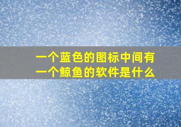 一个蓝色的图标中间有一个鲸鱼的软件是什么