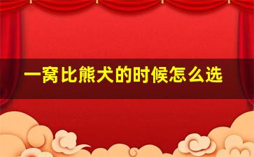 一窝比熊犬的时候怎么选