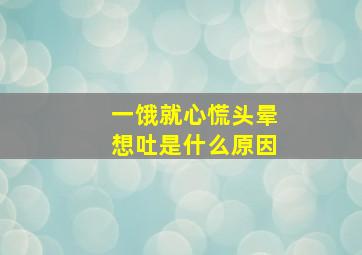 一饿就心慌头晕想吐是什么原因