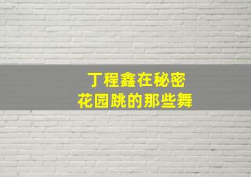 丁程鑫在秘密花园跳的那些舞