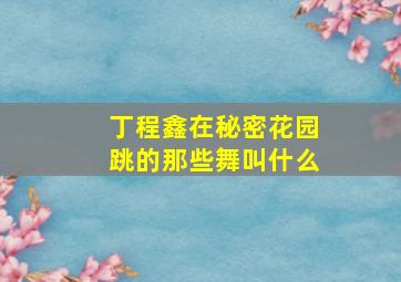 丁程鑫在秘密花园跳的那些舞叫什么