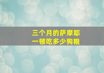 三个月的萨摩耶一顿吃多少狗粮